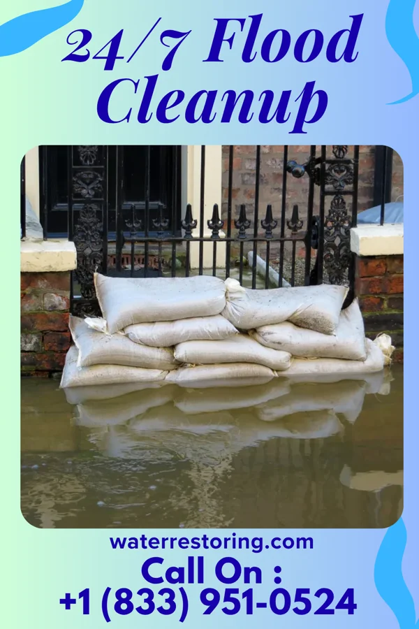 24/7 Flood Cleanup in Charlotte, MI