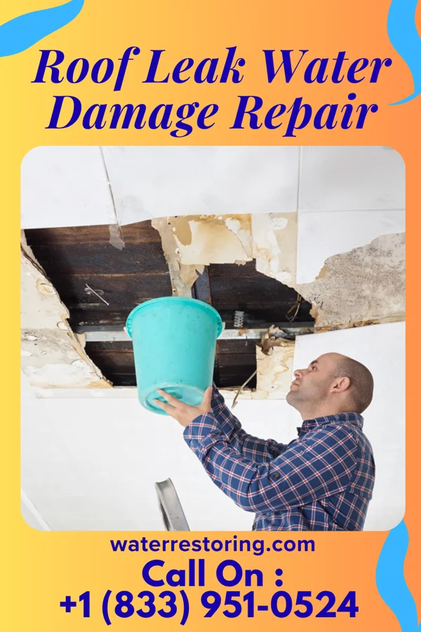 Roof Leak Water Damage Repair in Charlotte, MI