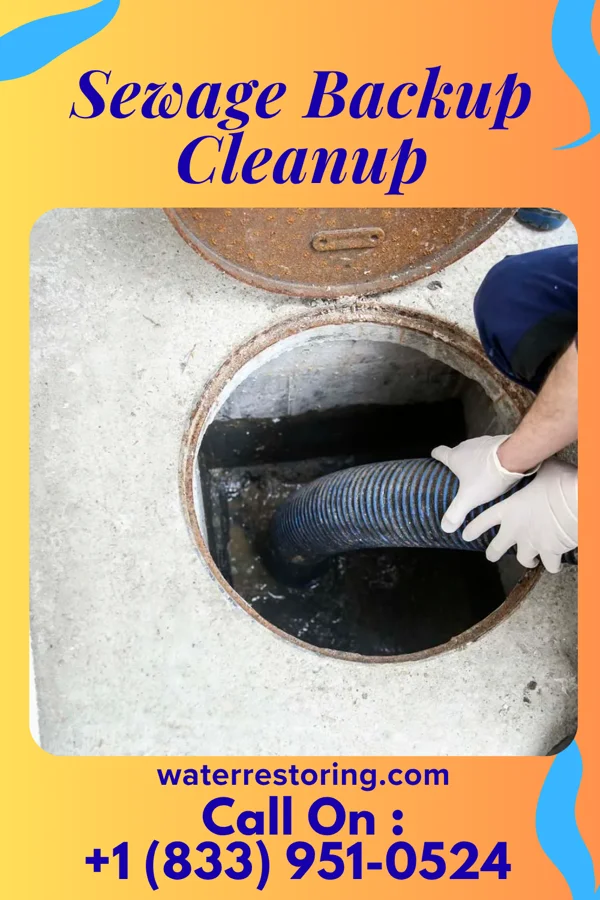 Sewage Backup Cleanup in Charlotte, MI
