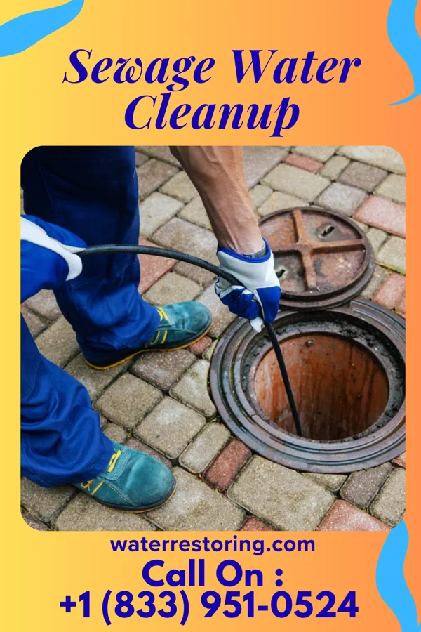 Sewage Water Cleanup in Charlotte, MI